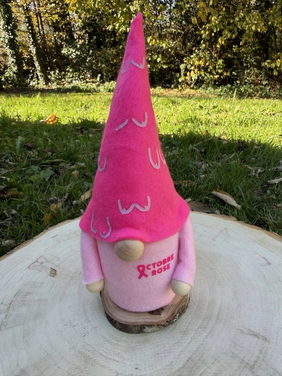 Rosie le Gnome de l’espoir Octobre Rose